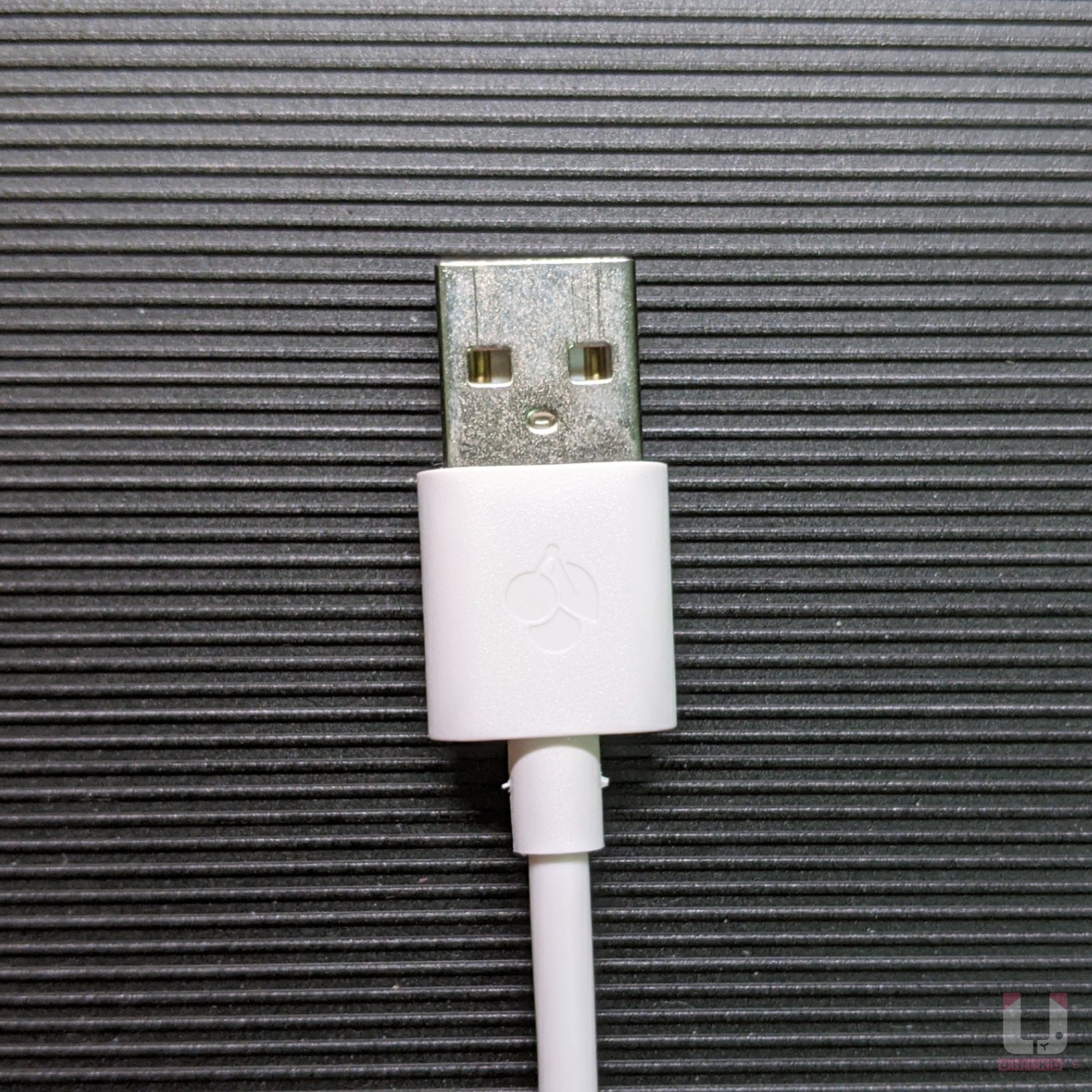 USB 端有刻 CHERRY 的櫻桃式樣 LOGO。