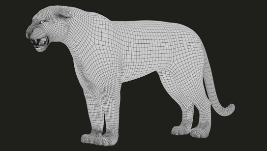 Righi 的創作流程始於在 Autodesk Maya 中建立動物模型。